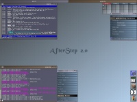 screenshot of the theme AfterStep 2.0 default